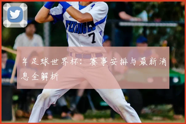 年足球世界杯:赛事安排与最新消息全解析
